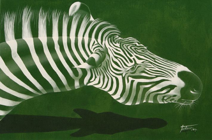Zebra zelená